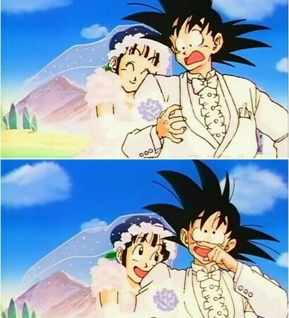 chichi, goku and chichi and goku