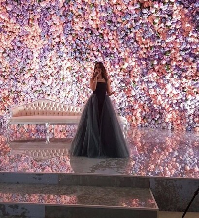 balqees, pink and violet