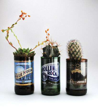plants, groomsmen and planter