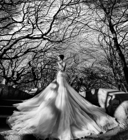 amour, bnw and love