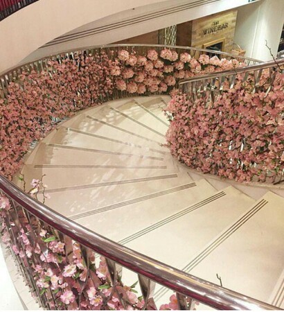 Dream, roses and beautiful