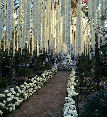 decorated, amazing and life