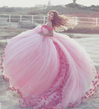sueños, Dream and rosa