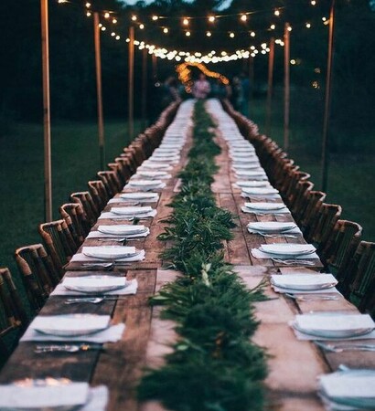 nature, dinner and party
