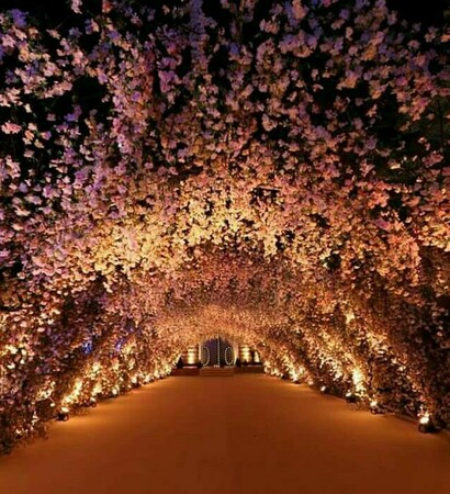 pathway, decoration and night