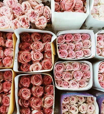 bridal, bouquet and cute