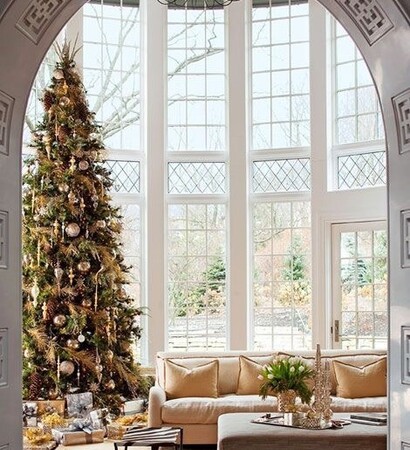 christmas, winter and tree