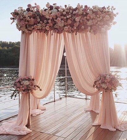 backdrop, love and rose
