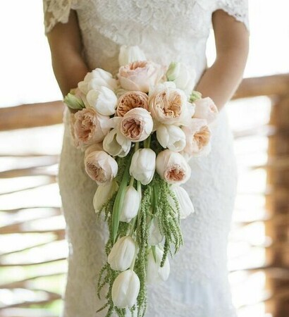cute, beautiful and dress. roses