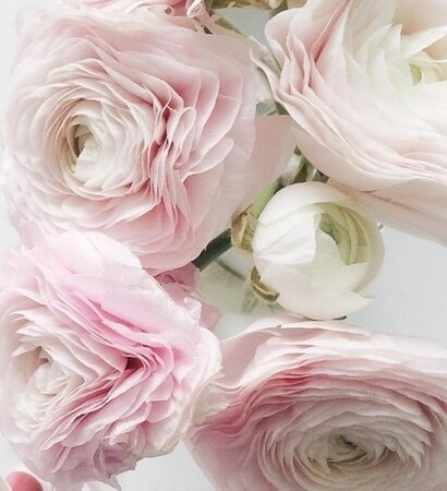 tumblr, style and luxury