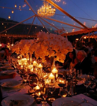 flowers, beautiful and decor
