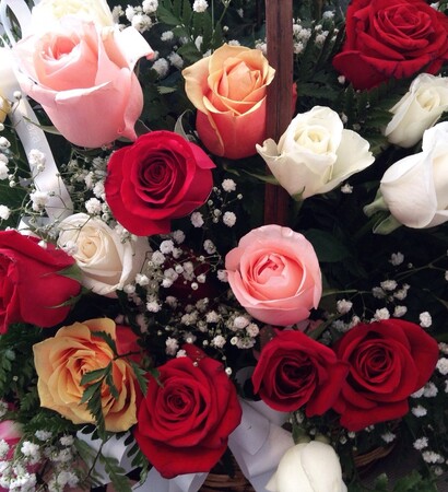 red, goals and roses
