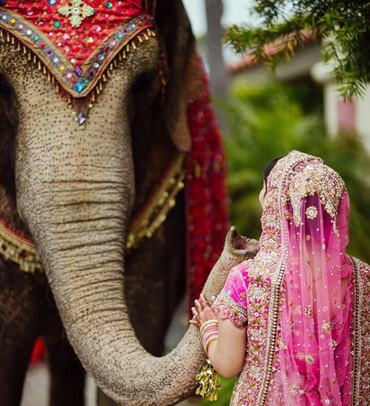 photography, india and traditions
