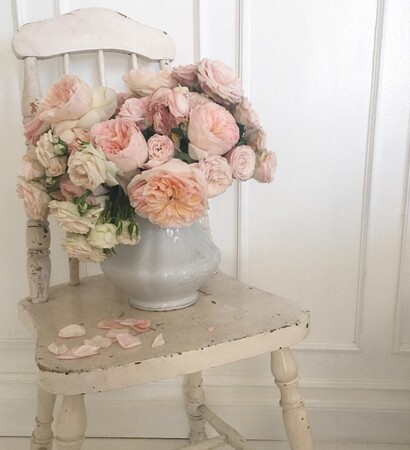 white, cream and french