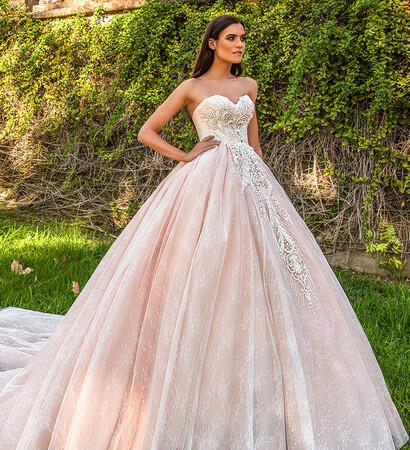 wedding dress and en