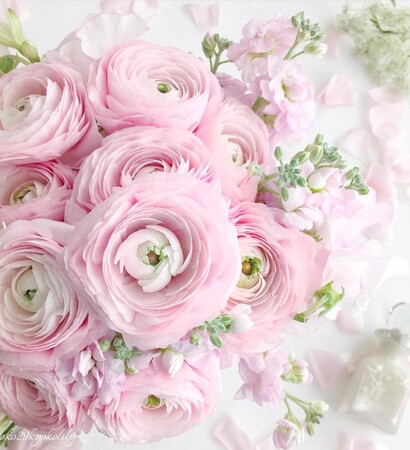 luxury, pastels and pink
