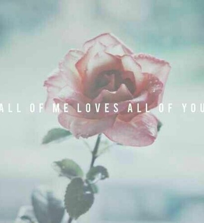 love, quote and rose