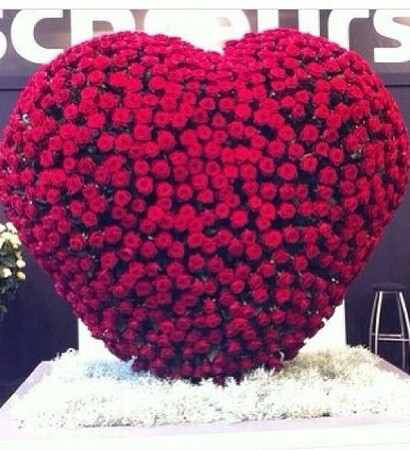 love, red roses and roses