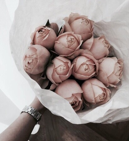 tumblr, instagram and Prom