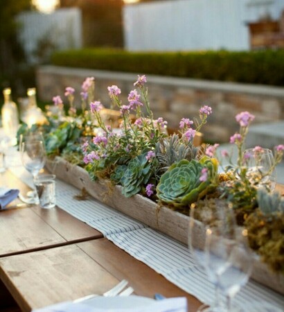 green, succulents and weddings