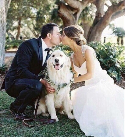 dog, groom and photo