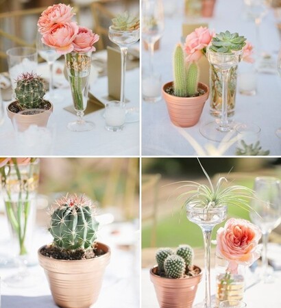 cactus, green and flowers