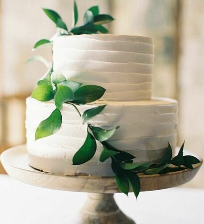 minimalist, cake and greenery