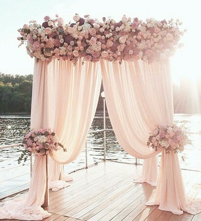 roses, beautiful and tijivonh