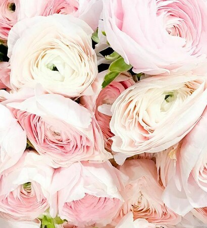 spring flowers, weddings and pink floral