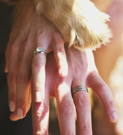 love, dog and pets