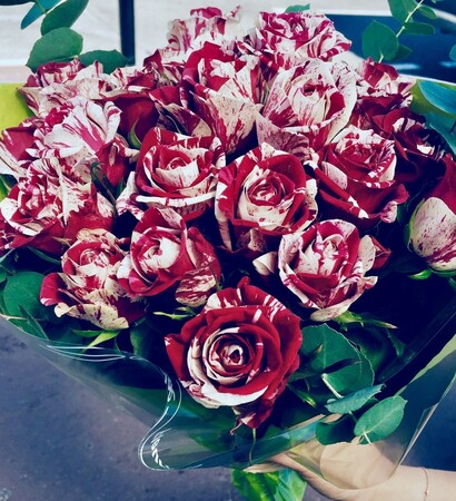 rose, red and cadeau