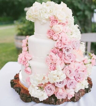 pink, garden and cake