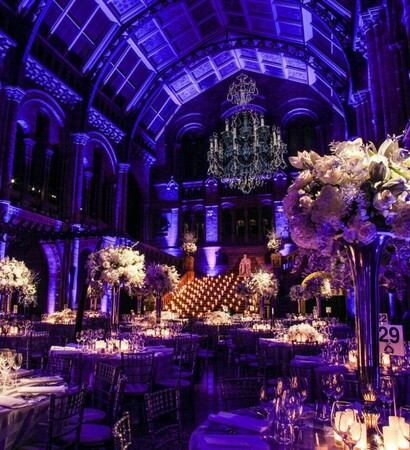 purple, gorgeous and lights
