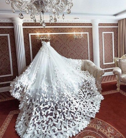 gorgeous, butterflies and white