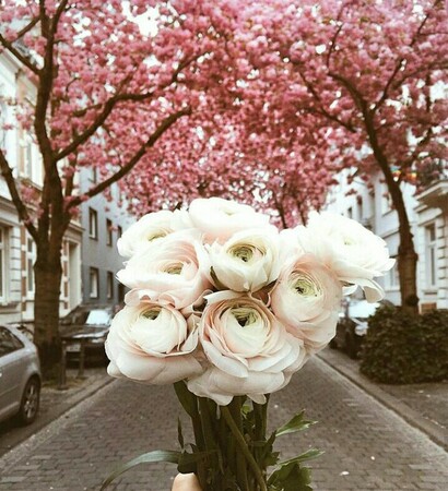 flowers, paris and love