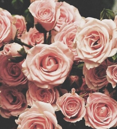 pink, background and wallpaper