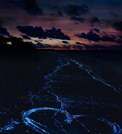 sprakle, night and beauitiful