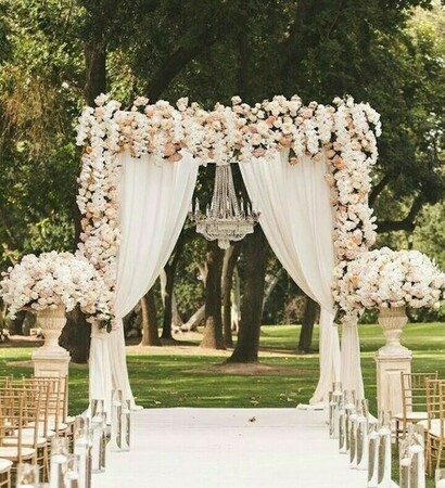garden, white and flowers