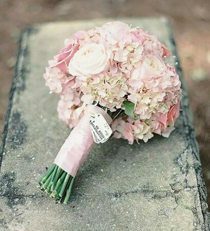 hydrangea, Dream and flowers