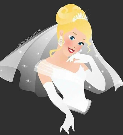 bride, cindarella and disney