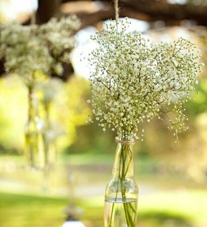flowers, fabulous and wonderful