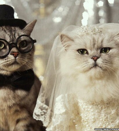 husband, wife and glasses
