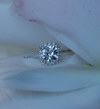wedding dream