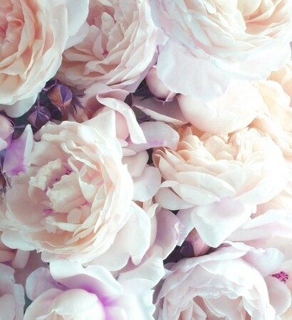 pretty, decor and flowers