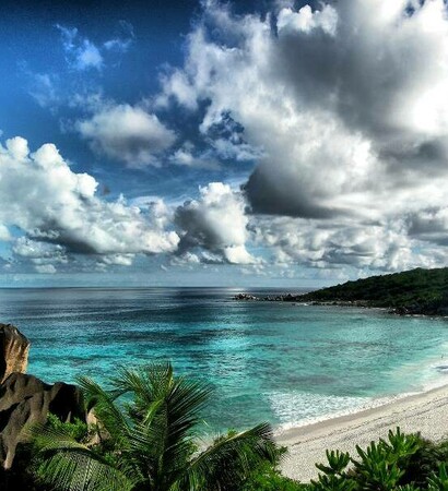wish, Dream and tropic