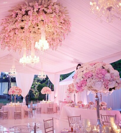beautiful, photograph and ♥