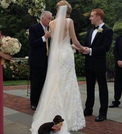 lol, cute and married