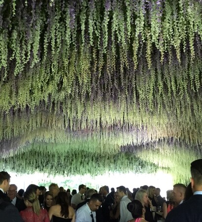 flowers, flower goals and flower tunnel