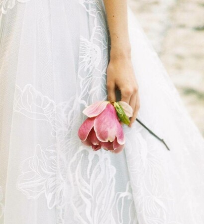 rose, flower and pink