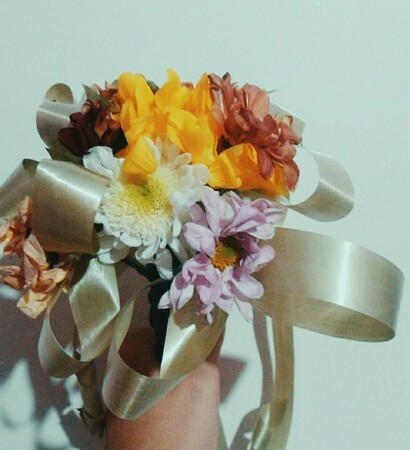 fresh, flowers and bloom